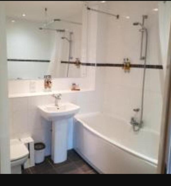 Parc Y Bryn Luxury Penthouse Apartment アベリストウィス エクステリア 写真