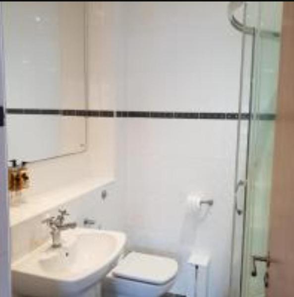 Parc Y Bryn Luxury Penthouse Apartment アベリストウィス エクステリア 写真