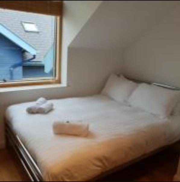Parc Y Bryn Luxury Penthouse Apartment アベリストウィス エクステリア 写真