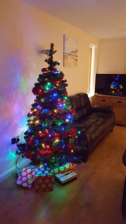 Parc Y Bryn Luxury Penthouse Apartment アベリストウィス エクステリア 写真